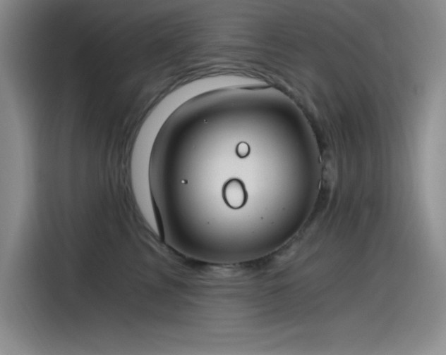 X0000115240713200911061147