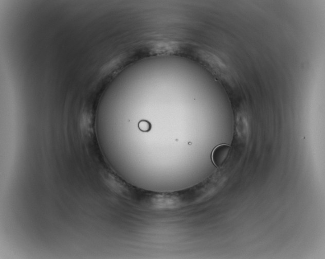 X0000115240714200911061147