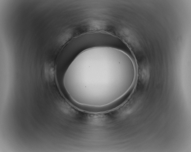 X0000115240716200911061147