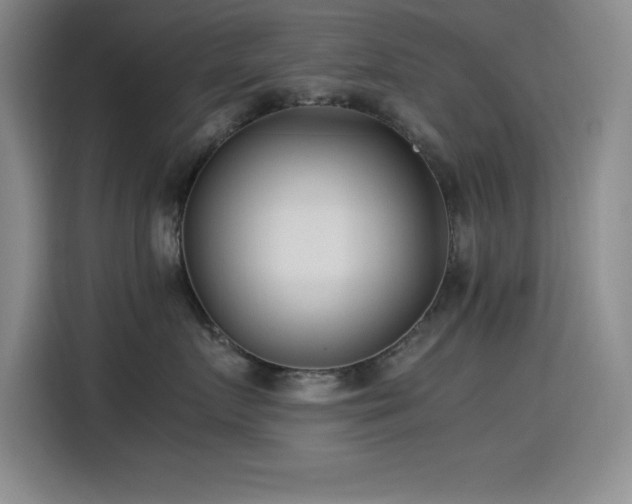 X0000115240719200911061147