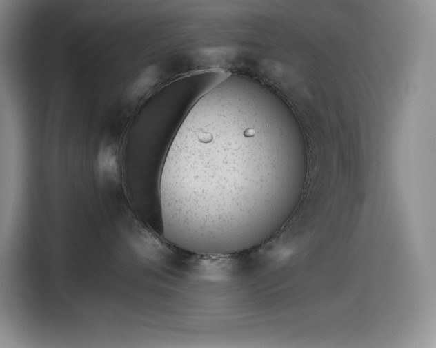 X0000115240720200911061147
