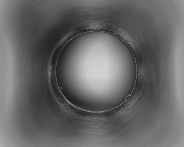 X0000115240722200911061147