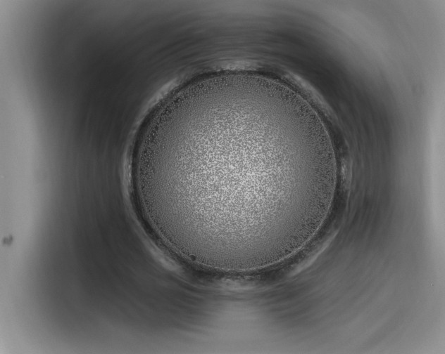 X0000115240725200911061147