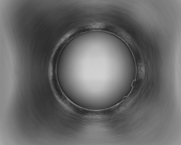 X0000115240726200911061147