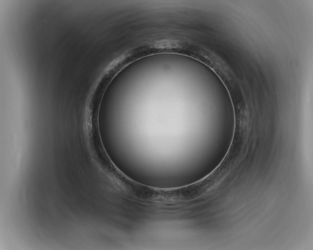 X0000115240727200911061147
