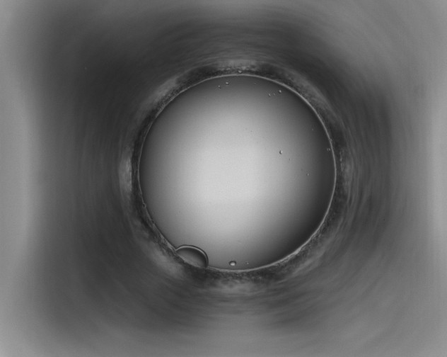 X0000115240729200911061147