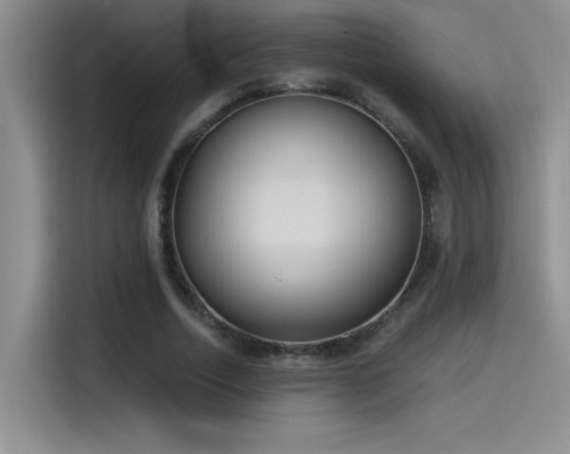 X0000115240730200911061147