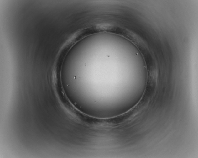X0000115240734200911061147