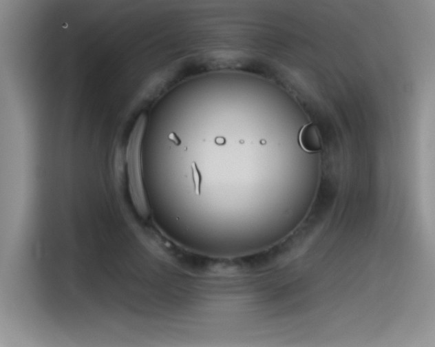 X0000115240742200911061147