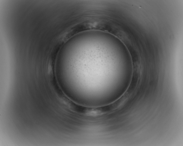 X0000115240754200911061147
