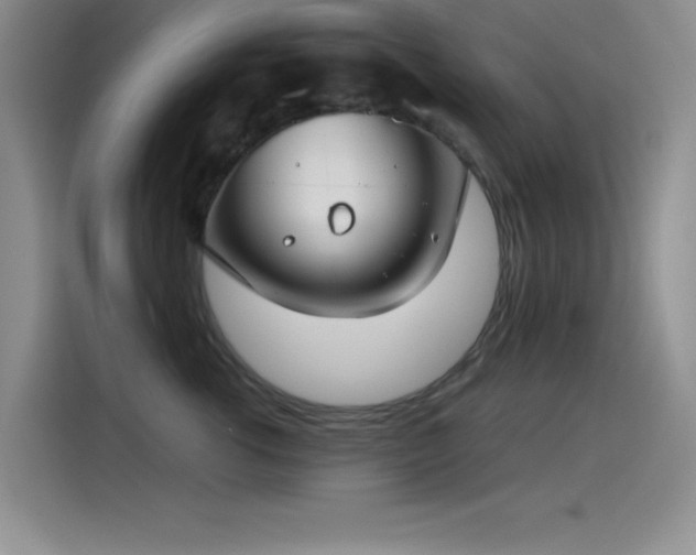 X0000115240762200911061147