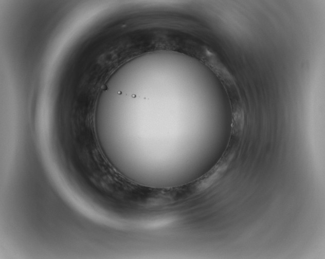 X0000115240765200911061147
