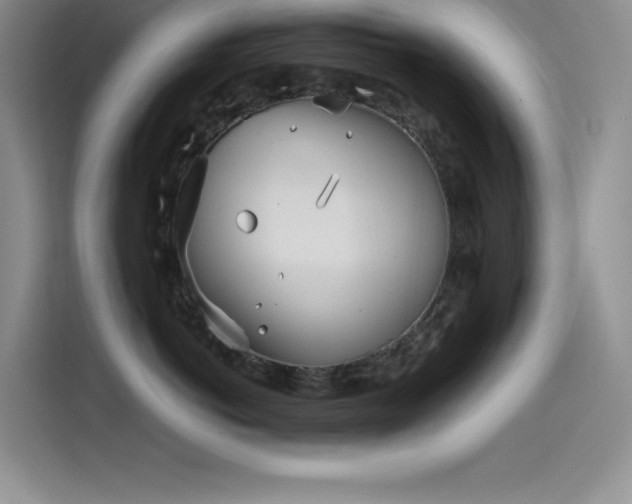 X0000115240766200911061147