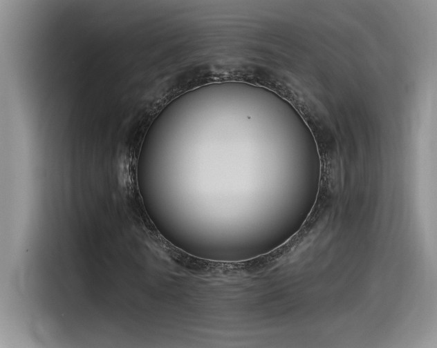 X0000115240770200911061147