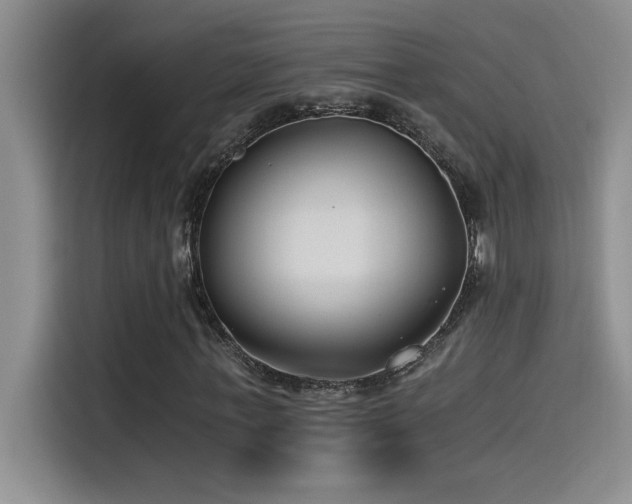 X0000115240771200911061147
