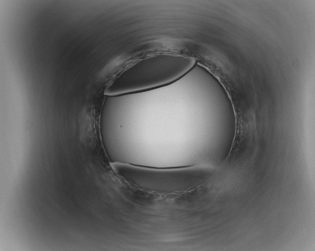 X0000115240773200911061147