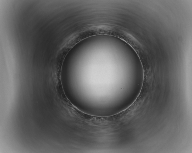 X0000115240774200911061147