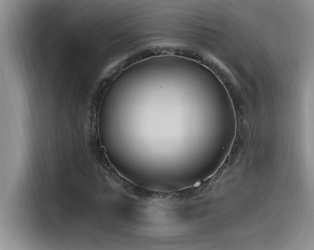 X0000115240775200911061147