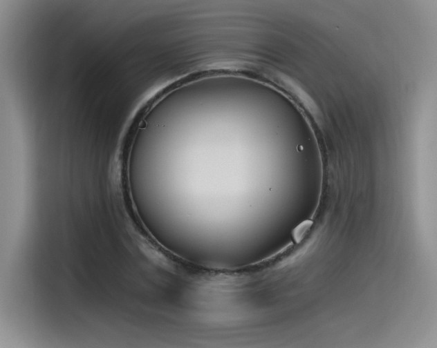 X0000115240779200911061147