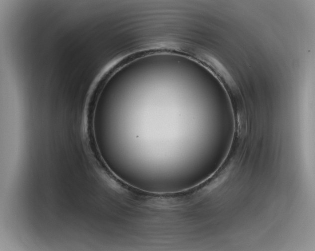 X0000115240780200911061147
