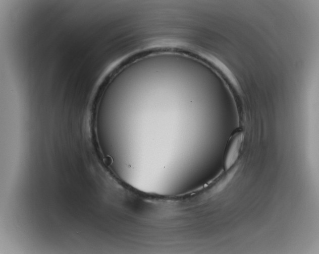 X0000115240783200911061147