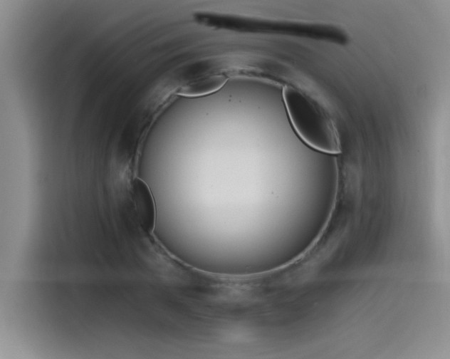X0000115240785200911061146
