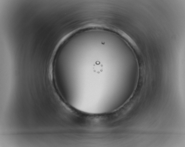 X0000115240791200911061146