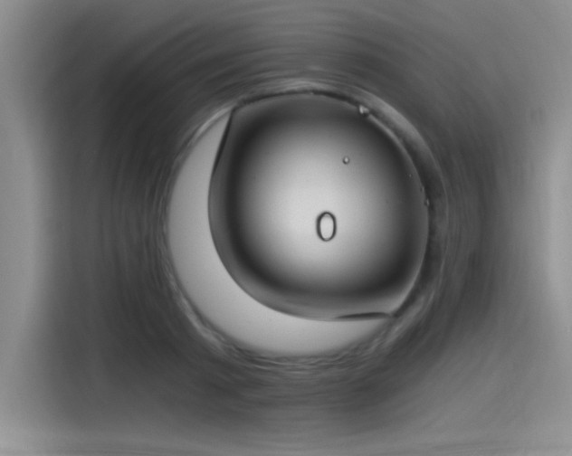 X0000115240793200911061146