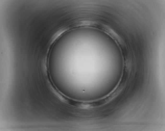 X0000115240794200911061146