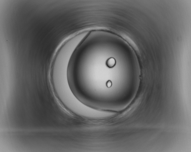X0000115240797200911061146