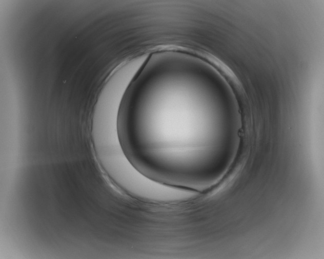X0000115240801200911061146