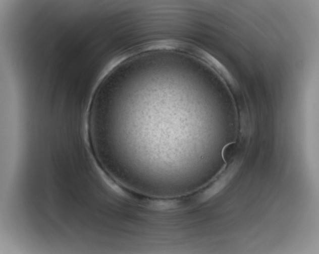 X0000115240802200911061146