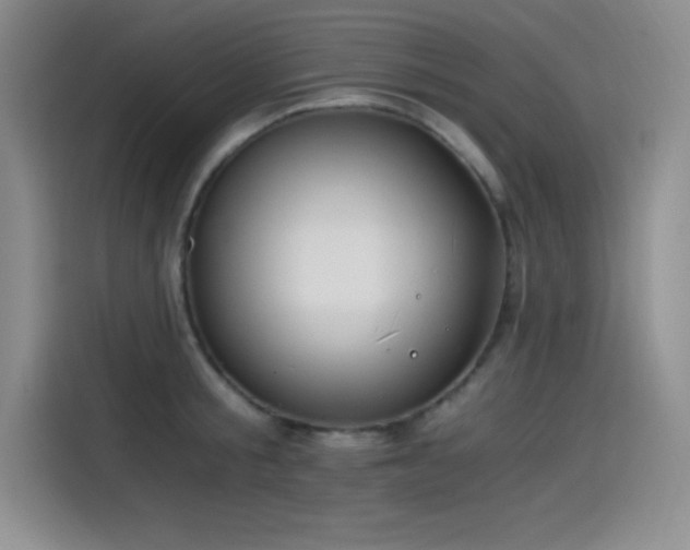 X0000115240805200911061146