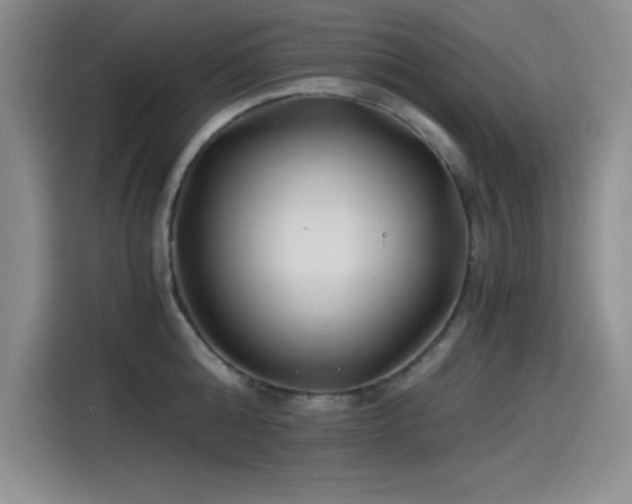 X0000115240808200911061146