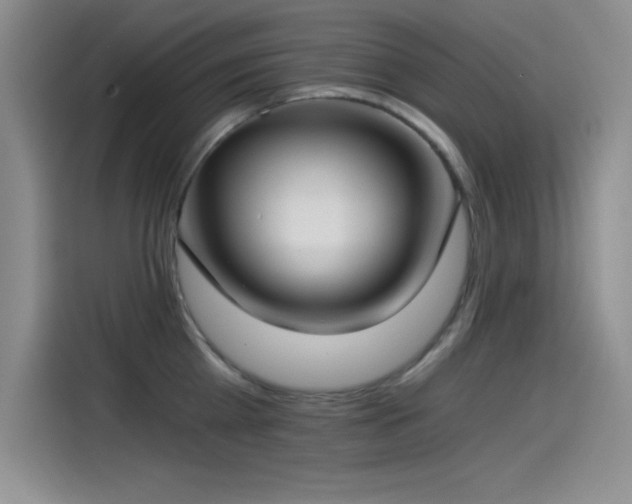 X0000115240809200911061146