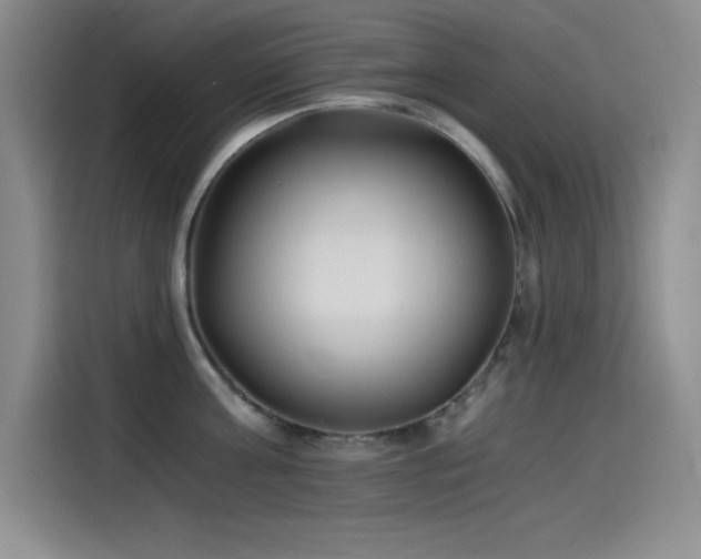 X0000115240811200911061146