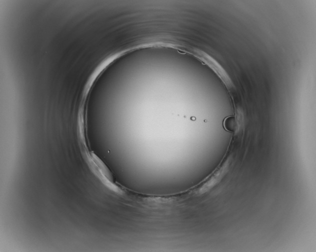 X0000115240812200911061146