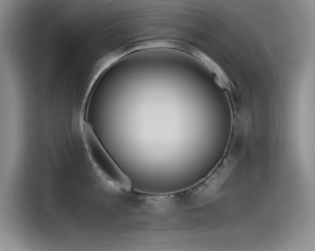 X0000115240813200911061146