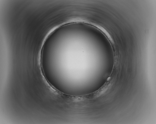 X0000115240815200911061146