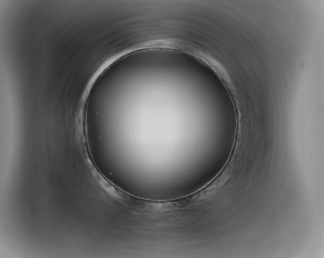X0000115240816200911061146