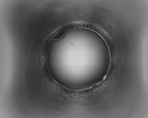 X0000115240821200911061145
