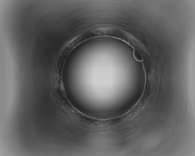 X0000115240822200911061145