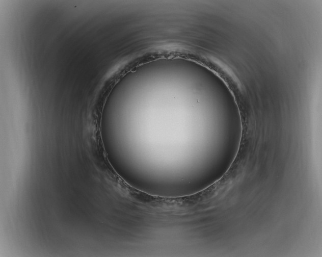X0000115240823200911061145
