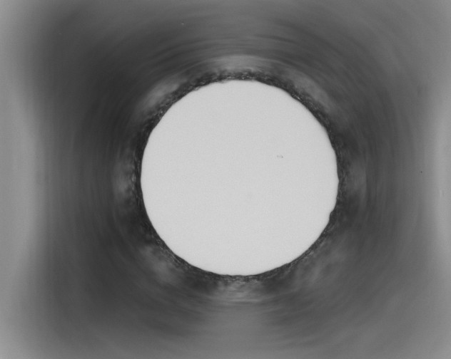X0000115240824200911061145