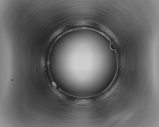 X0000115240826200911061145