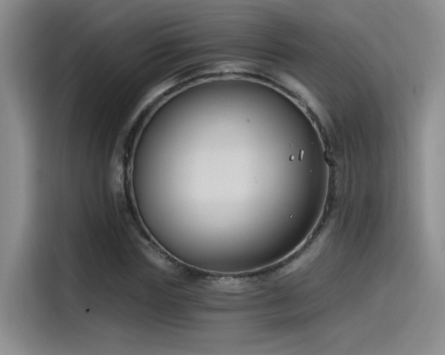 X0000115240827200911061145