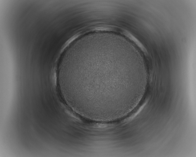X0000115240829200911061145