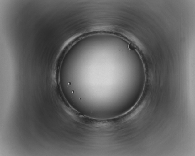 X0000115240830200911061145
