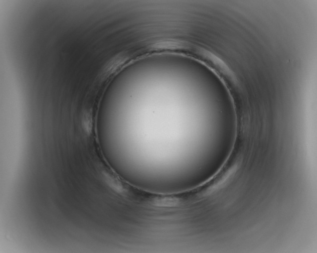 X0000115240833200911061146
