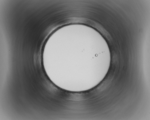 X0000115240836200911061146